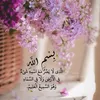 user2dlx16kplx