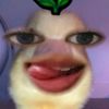 user67892070