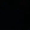 tongan_211