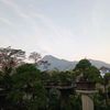 cahyoyo08
