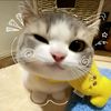 celiyaa_19