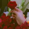 tanveer9528
