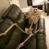 lazy_pandu
