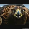 useralqmctwcqm
