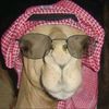 jesiepinkman1211