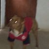 rubyvillagrana03