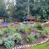 juniperberryplaygarden