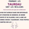 sofianeelbaz2