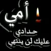user9526118191481