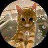 _cat_918