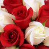 nasreen0105