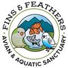 Fins & Feathers