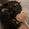 heartboxmurph