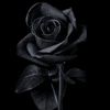 paris_is_fariy_1011