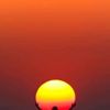 mahdjoubi.mohamed8