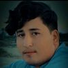 afghanmsd0