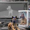 mppdogshop