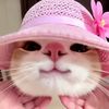 jenniemagar73