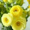 mages_786