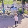 danse_1238