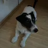 ragnar_jackr