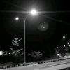 mantapslurrr01