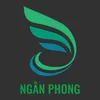 nganphong231019gmail.com