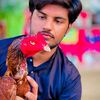 abbas_aseel_birds