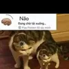 taolaaccmoi