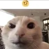 thangngot282
