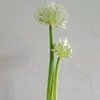 _vothuong3