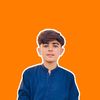 mirzahammad7862