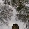 dopamineseekerz