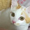 maya.chan.11
