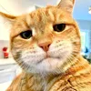 oyen_wangy