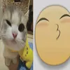 eshkereshnayasonee