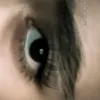 userl1qiksvsay