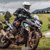 juandavidgarzon686