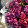 alshammre.bibi