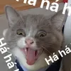 khanhbbe2