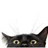 laxative.io