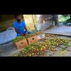 majid50985