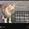 djvoflwlckc