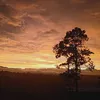 daily_anakrantau