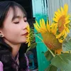 tuyetmai.67l1