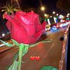 .ross.1999