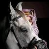 sultan..alshamsi