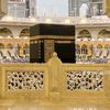 naz_jamaluddin