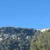 kassii81