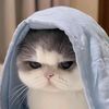 looksindifferent